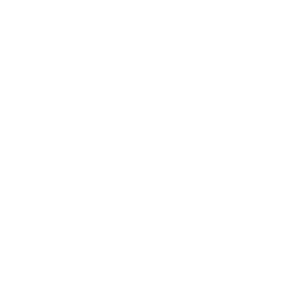 Role Model